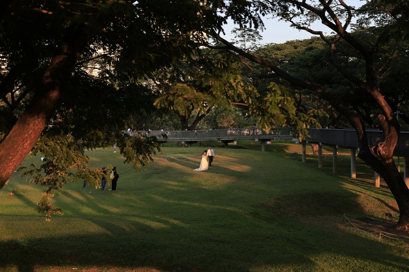 Ảnh ngang lớn